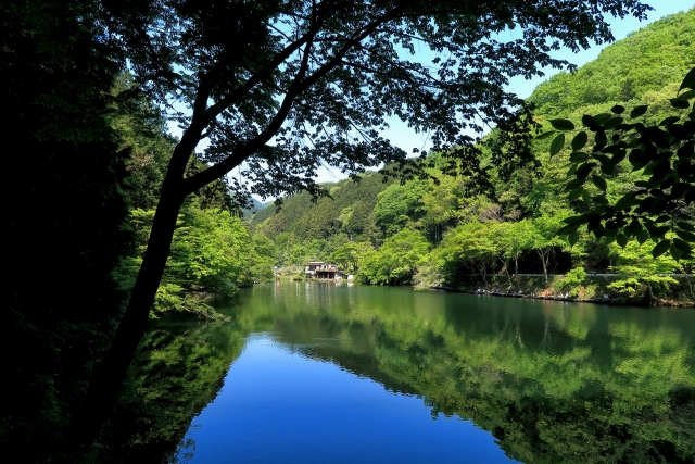 おススメ釣り場 堤防 磯 渓流など 埼玉県 銀の釣り情報局