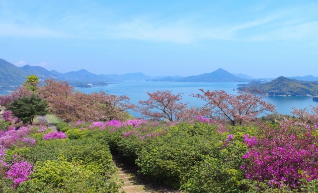 岩城島港のおすすめ釣りポイント 愛媛県 銀の釣り情報局